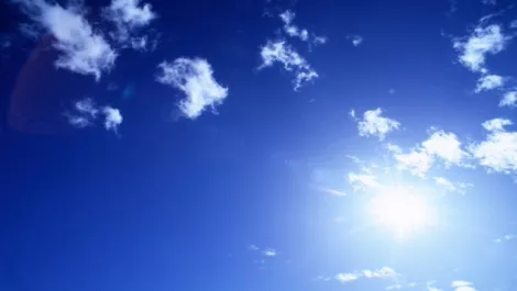 78247383 7