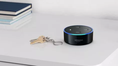 Alexa find me a job