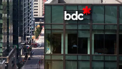 Bdclogo 3114