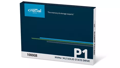Crucial p1 00