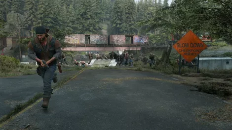 Days gone pc 21