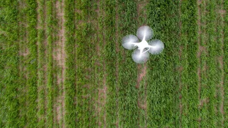 Drones