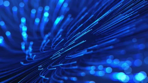 Fibre