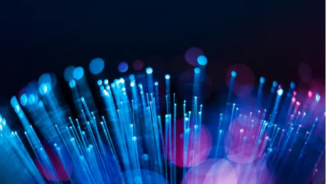 Fibre