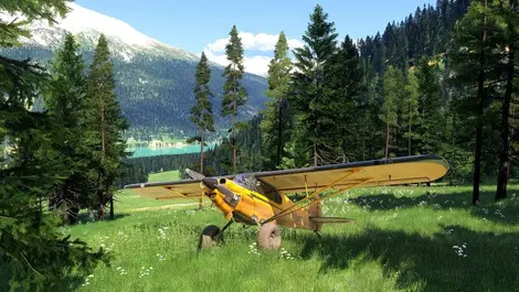 Flight sim screenshot