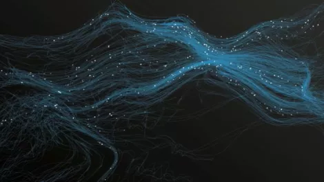 Huawei2