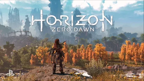 Hzd 999