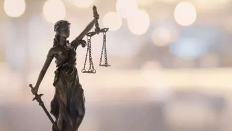 Law