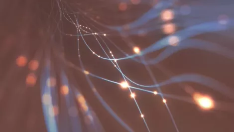 Nec network