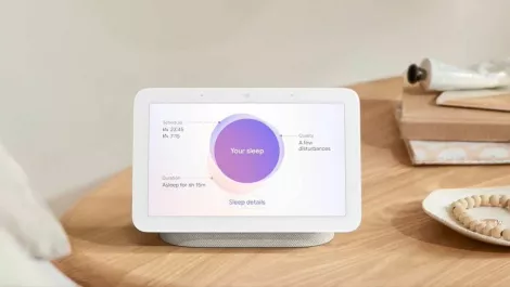 Nesthub 2a