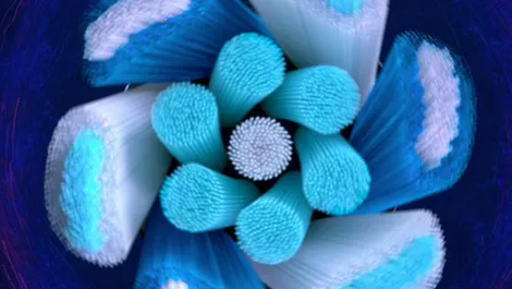 Oralb3a