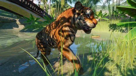 Planet zoo 00