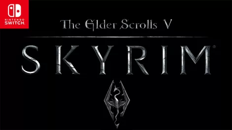 Skyrim switch 00