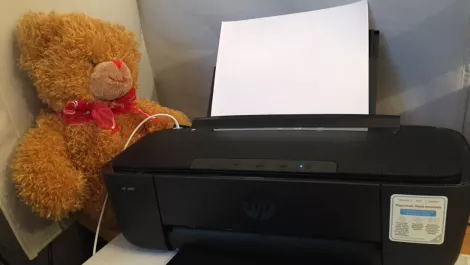 Ted