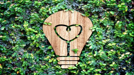 Thinkstockphotos 538569219