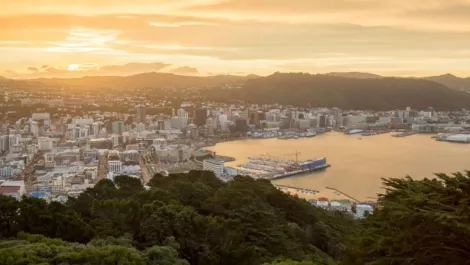 Wellington