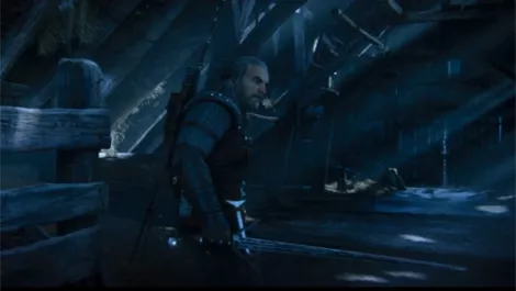 Witcher 1td