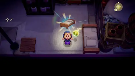 Zelda echoes screenshot